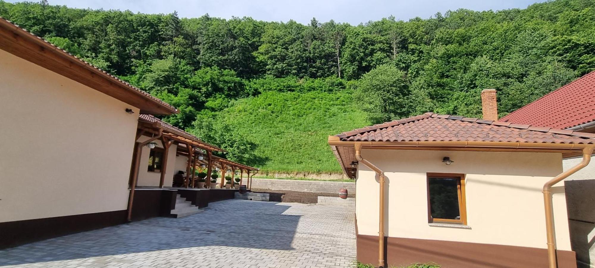 Hos Vendeghaz Miskolc -Oenallo Vendeghaz, Mely Csak Az Oenoeke エクステリア 写真